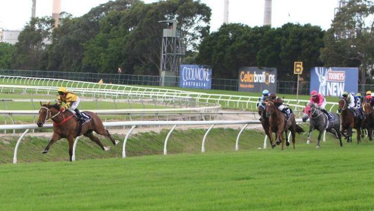 Great ride: Jim Cassidy takes an early lead on Steps In Time  in the Coolmore Classic. Photo: Jenny Evans
