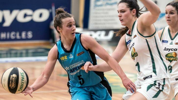 Canberra guard Lauren Mansfield shaped the Capitals win. Dandenong Rangers v Canberra, WNBL, Dandenong stadium, 6/11/2016. Photo: Mick Connolly Basketball. Photo: Mick Connolly Photo: Mick Connolly
