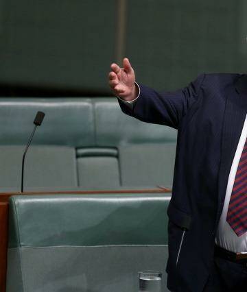 Palmer United Party leader Clive Palmer. Photo: Alex Ellinghausen