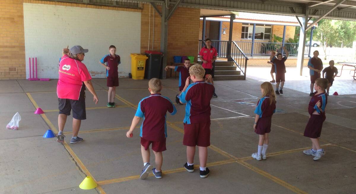Attunga students have fun with sporting school's cricket