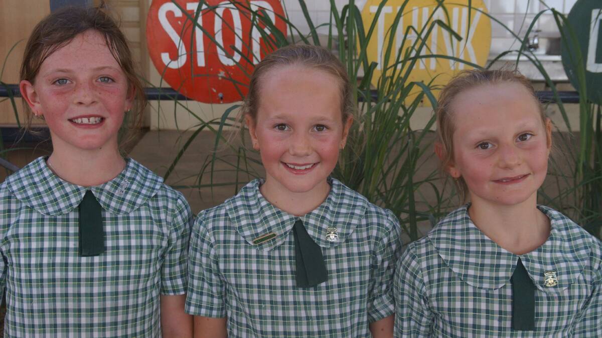 Willow Tree's Emily Wamsley, Katie and Holly Martin will be competing in the Homebush PSSA swimming carnival 
