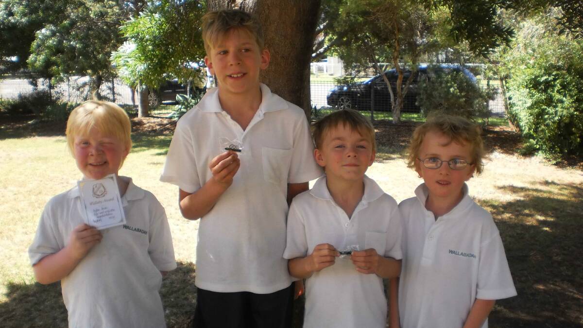 Well done Wallabadah’s Aaron and Calum Frost-Guider for receiving their merit badges and Dylan Stocks and Chloe Dent for receiving a wallaby award