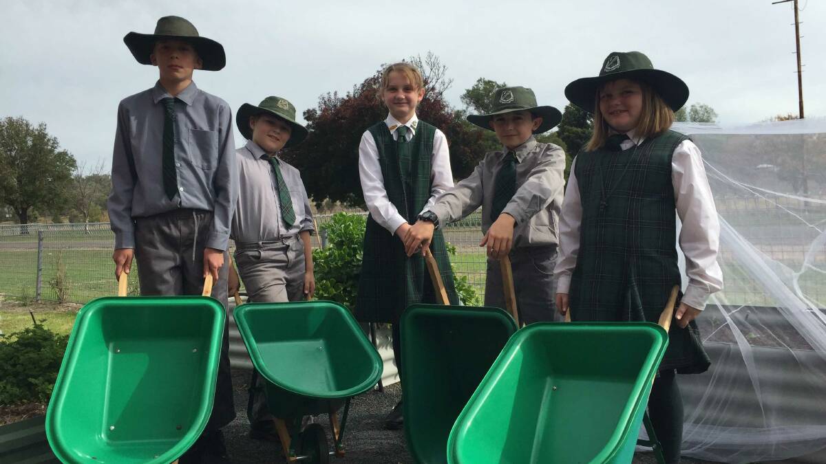 Aaron Frost-Guider, Joey Reedy, Sienna Cronin, Aiden Webster and Ella Jones with the wheelbarrows donated by Quirindi Grain and Produce.