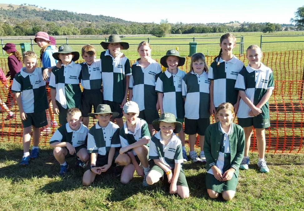 Congratulations to all the Wallabadah students who participated in Zone Cross Country on Friday May 13