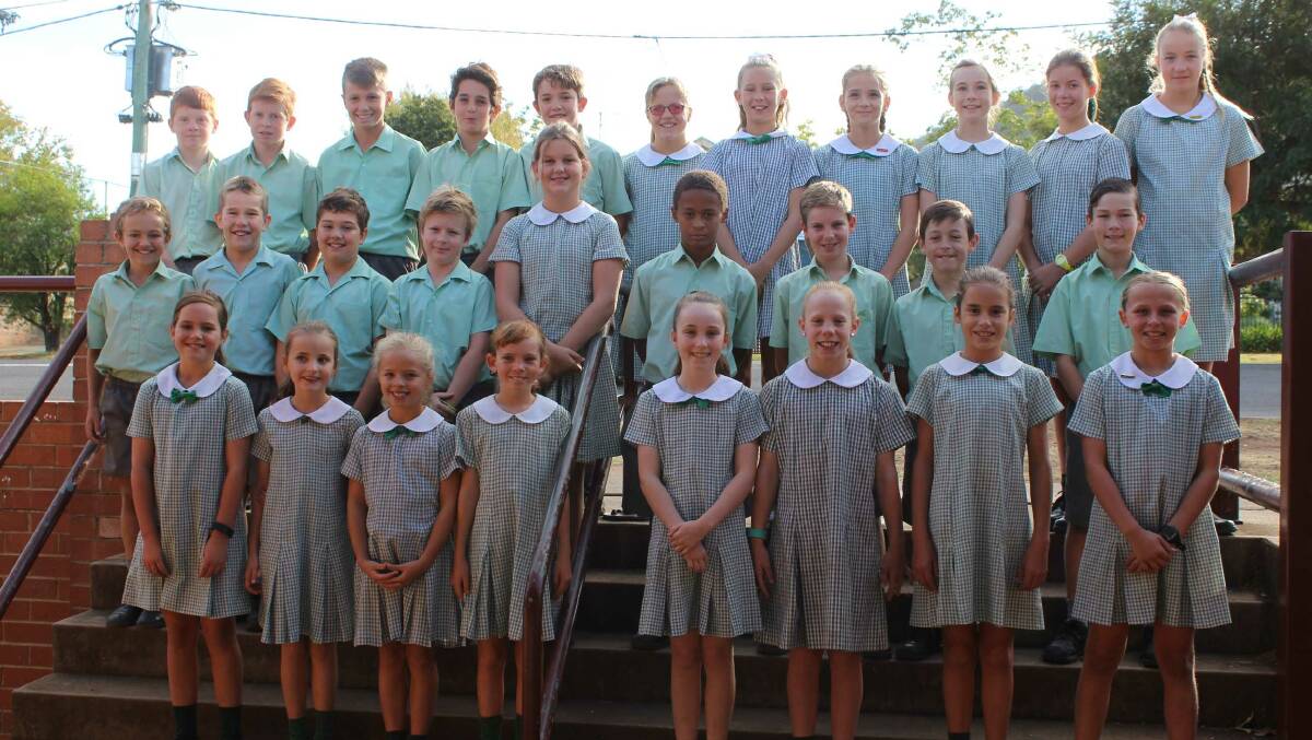 St Nicholas had 15 students represent the school in Polding teams competing in Bathurst and Lithgow.