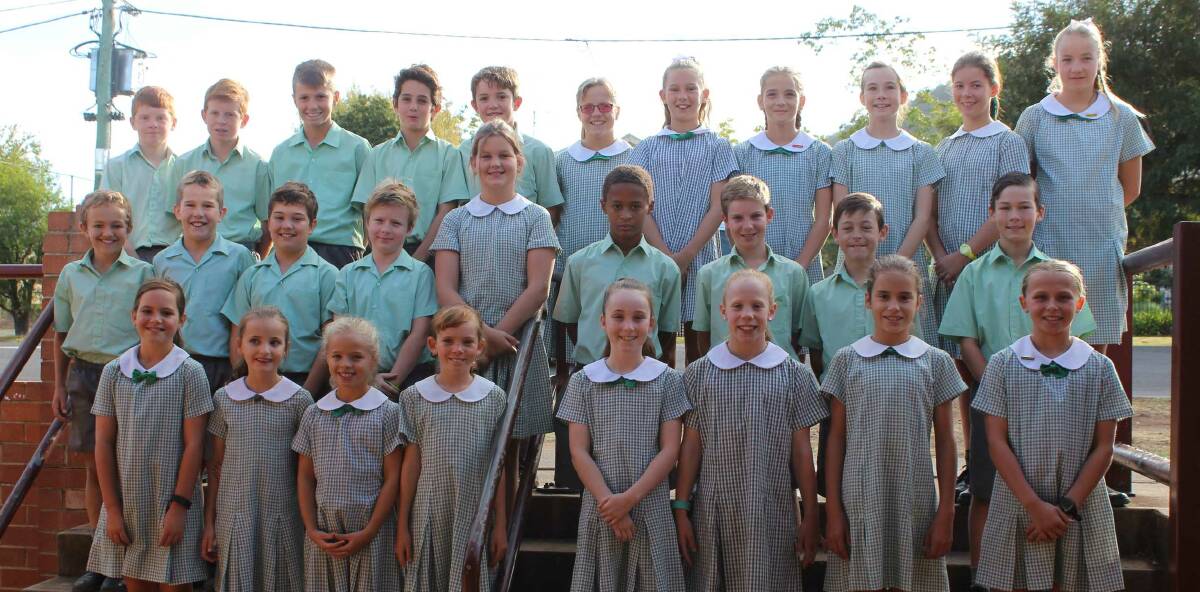 St Nicholas had 15 students represented the school in Polding teams competing in Bathurst and Lithgow