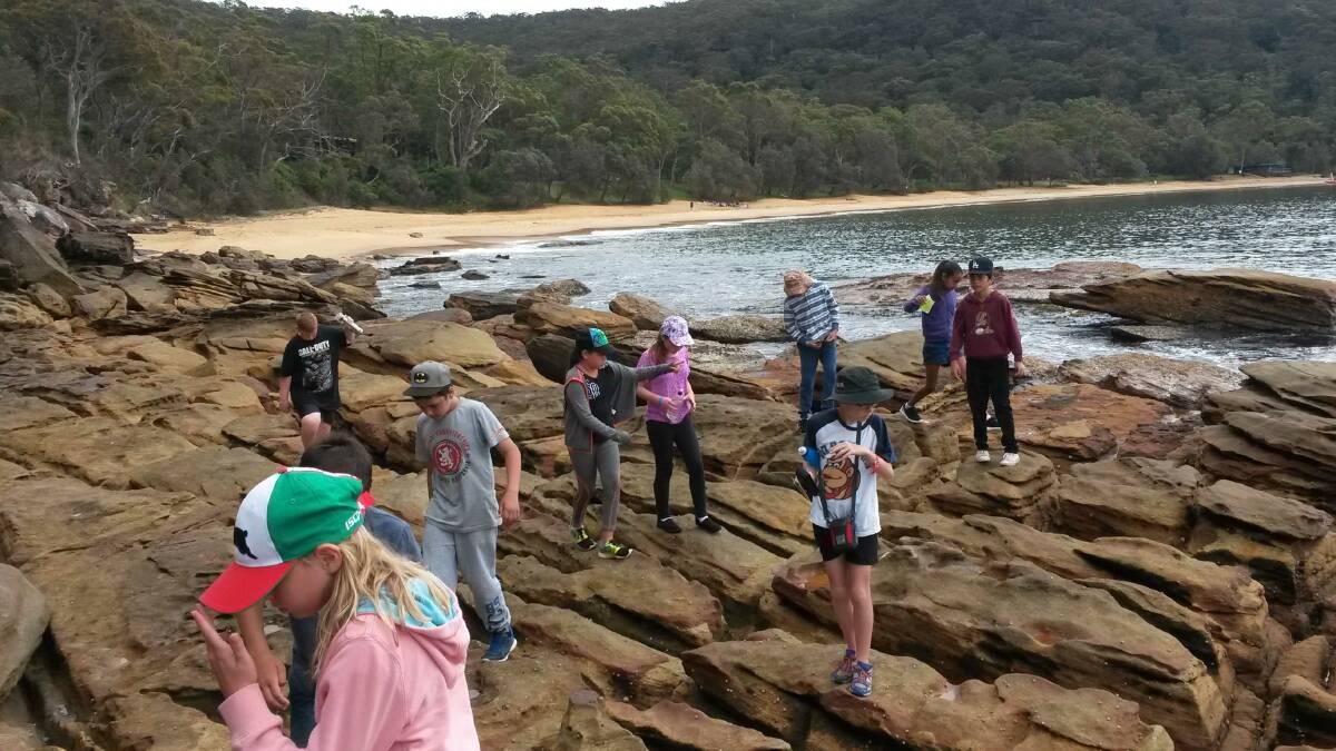 Hillvue students took a marine walk and looked for sea life among the rocks
