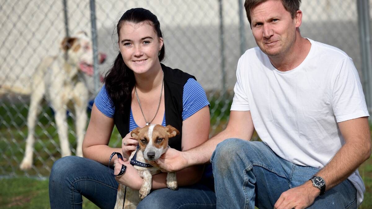 FREE CHIPS:"Work ready TAFE students Amelia Quast and Scott Murray are ready to help pet owners make their beloved furry friends easier to track through a free microchipping day. Photo: Geoff O'Neill 090516GOA01