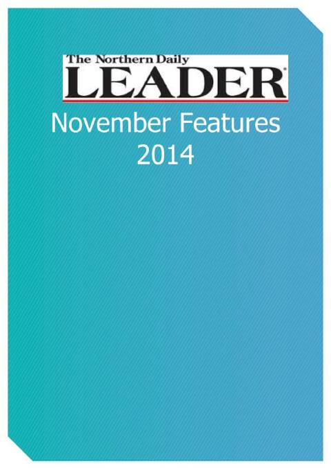 November 2014 Features