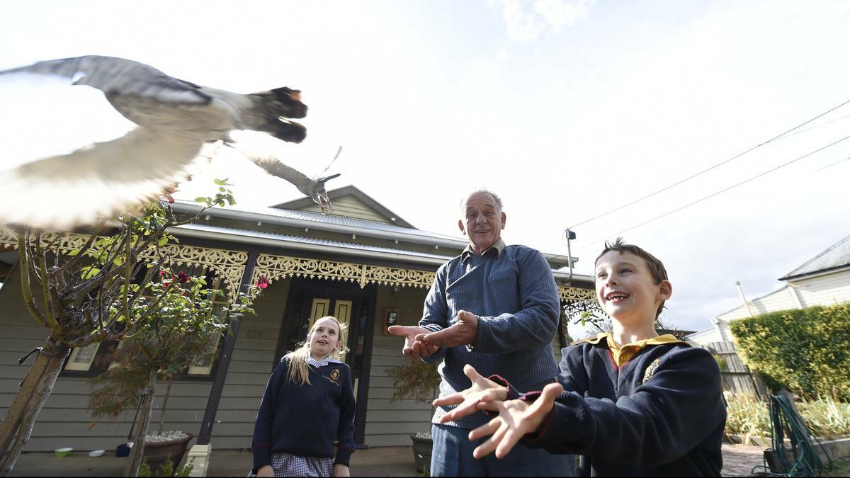 Amalee Eden, Reg Eden, Declan Eden display pigeons at the Ballarat Rural Lifestyle Expo. Picture: Justin Whitelock, The Courier.