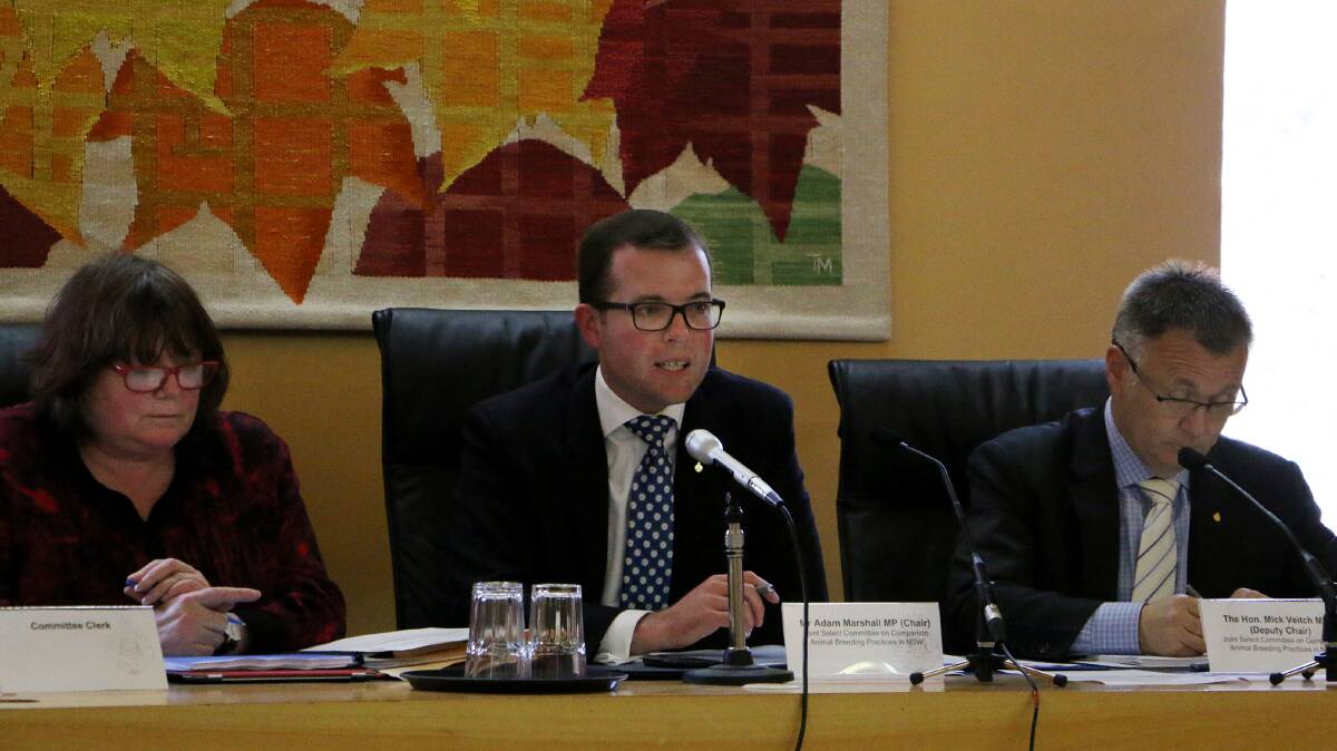 Chair of the NSW parliamentary committee Adam Marshall, pictured centre, at the hearing in Armidale in July. Photo: Rebecca Belt 
