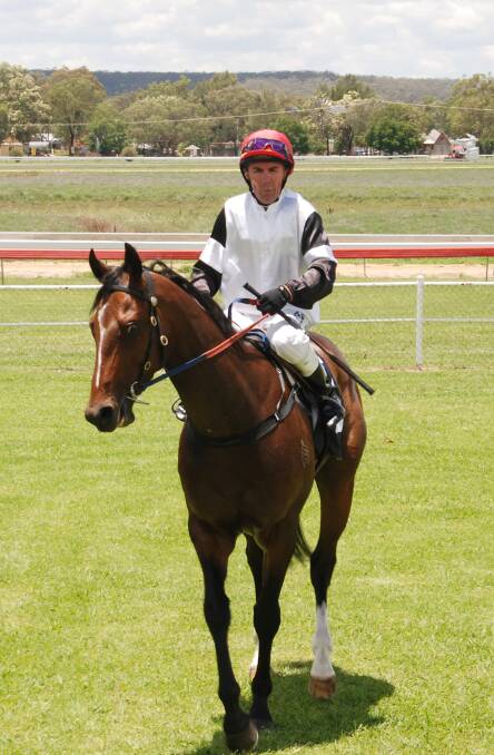 Champagne Warrior and Darren Jones return to scale after Thursday’s win at Inverell. Photo: Geoff Newling 010115GAN02