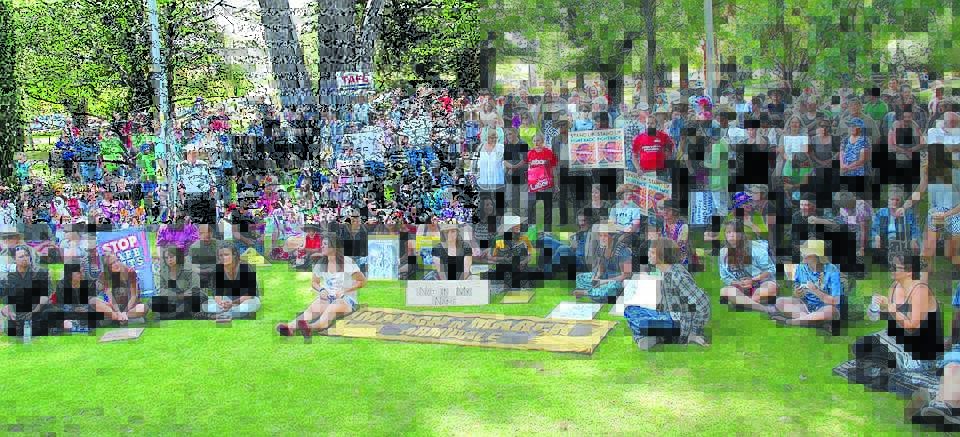 DAY OF ACTION: Some of the 500 participants who attended Armidale’s March 15 rally in Central Park.