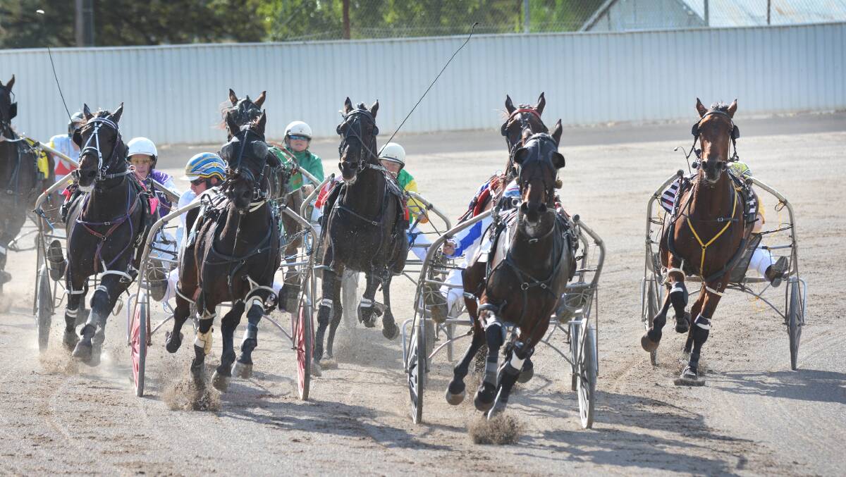 Big Tom Lombo and Anthony Varga (left) are waiting to finish on and claim leader The Ultimate Legacy at Tamworth Paceway yesterday. Photo: Barry Smith 080514BSF01