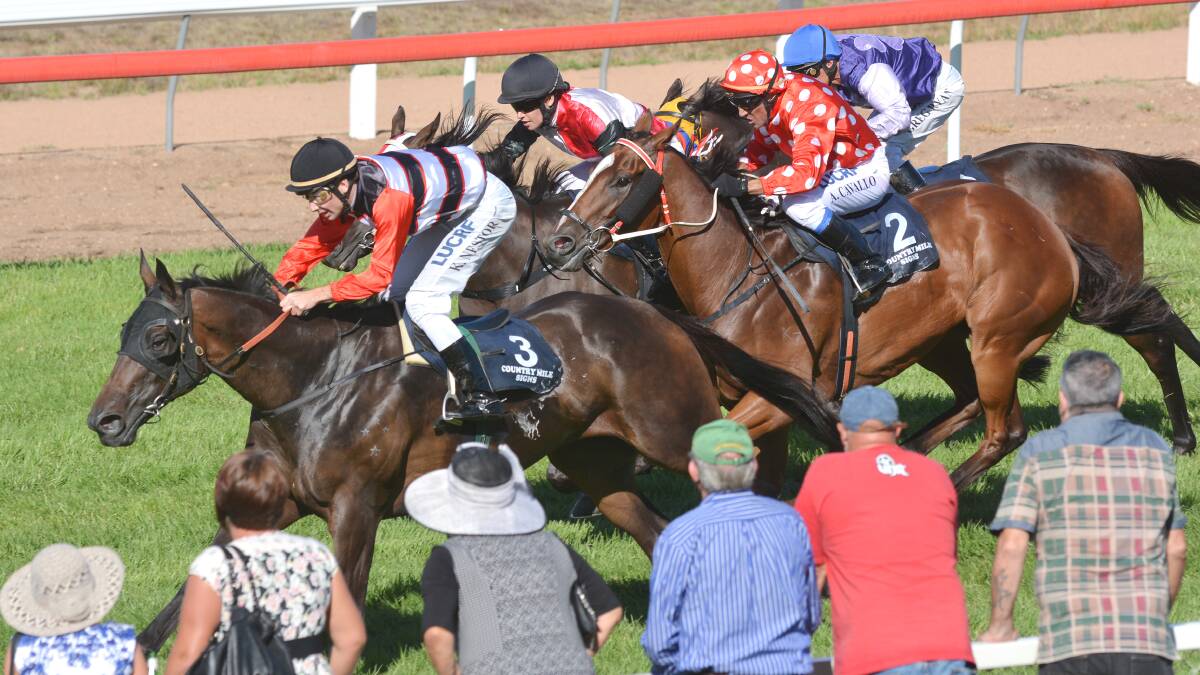 Kody Nestor and Brave Ali win the 2014 Akubra Quirindi Cup onFriday. They’ll be aiming at an Armidale Cup on March 17. Nestor also won at Coonabarabran on Saturday with the Sally Torrens-trained Subtract. Photo: Barry Smith  210214BSE21