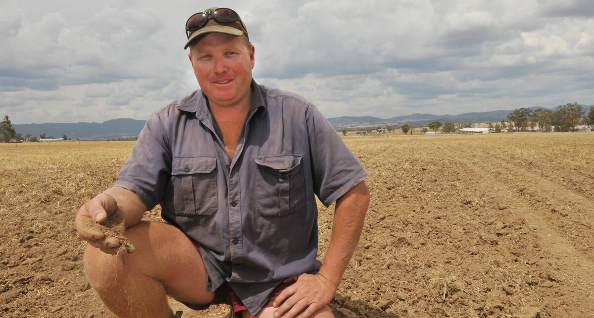 RAIN DESPERATELY NEEDED: Scott Flinn of the property Karingle, near Tamworth, direct drilled 57 hectares of forage sorghum last week in the hope that it would rain. His extraordinary gamble could well pay off this week, with up to 30mm forecast by Friday. 
Photo: Gareth Gardner 261114GGG02