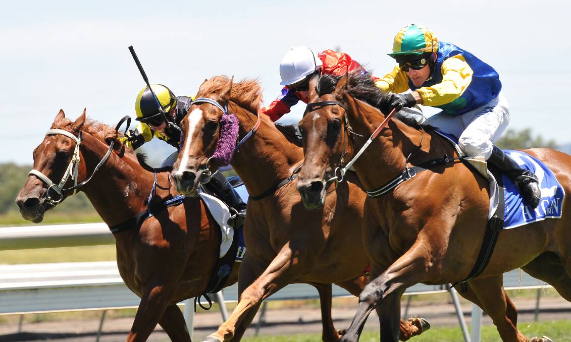 Wisen Up and Robert Thompson (outside) beat Sweet Feet (middle) to win at Tamworth on Sunday. They might be headed to a Walcha Cup.  Photo: Gareth Gardner 180115GGH01