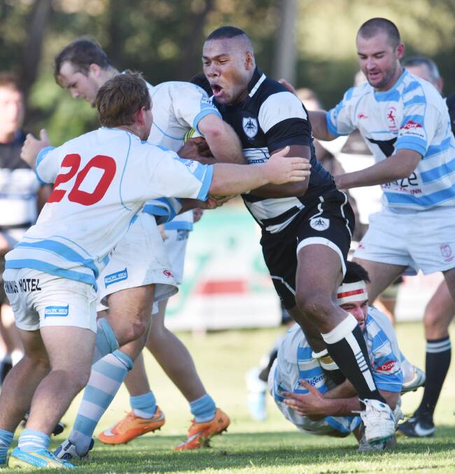 Tamworth number eight Sanimo Navatu charges into the Quirindi defence on Saturday. Photo: Barry Smith. 110415BSF17