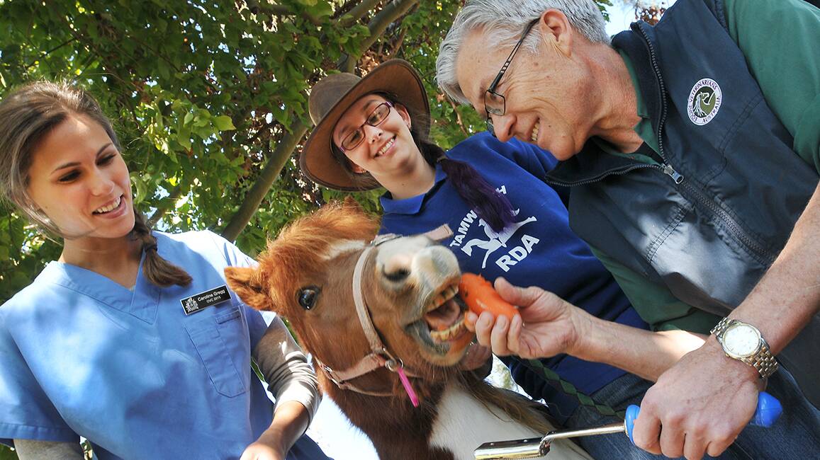 DENTAL DATE: Buttons bares his bite for a healthy carrot during his meeting with the dentist yesterday. From left, equine vet student Caroline Gregg, Riding for the Disabled member Sarah Hoskins and vet Greg Ireland. Photo: Gareth Gardner 310714GGC02