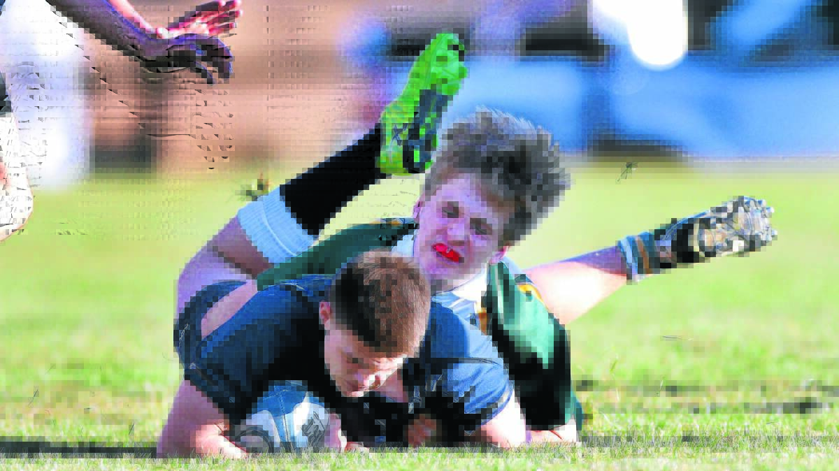 TAS boarder Jack Towns dives on a loose ball as the school hosted a touring Wimbledon College on Wednesday. 
Photo: Matt Bedford – The Armidale Express.