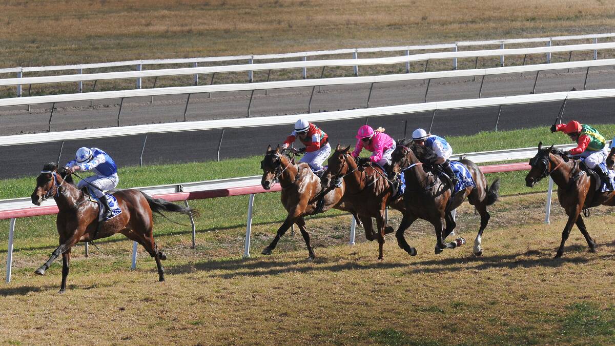 Michelle's Gift and Daniel Northey win well at Tamworth yesterday. Photo: Gareth Gardner 150814GGE04 
