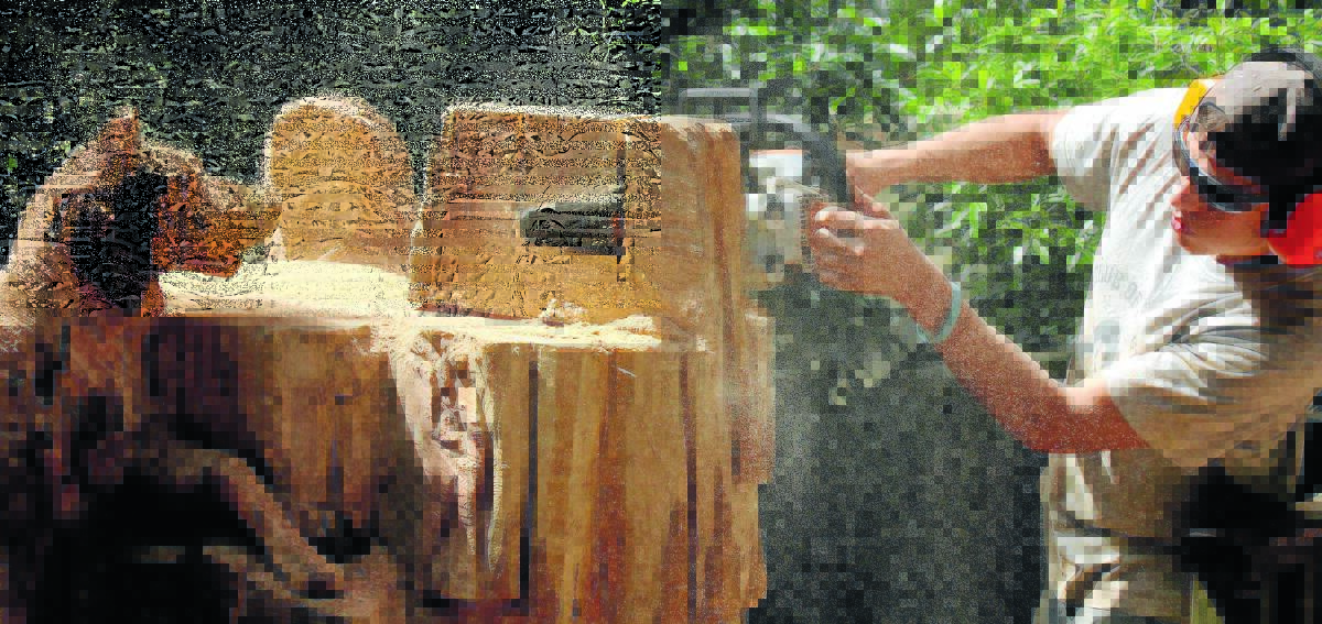 SHAPING PERCEPTIONS: Welsh chainsaw artist Adam Humphreys will hold a live exhibition of his craft in Bicentennial Park next week in support of mental health advocacy service Batyr.