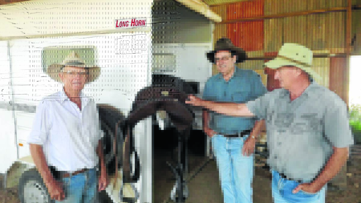 Discussing team penning and arena sorting tactics for the Royal Easter Show are Ron Grant, Wayne Douglas and Les Chapman.