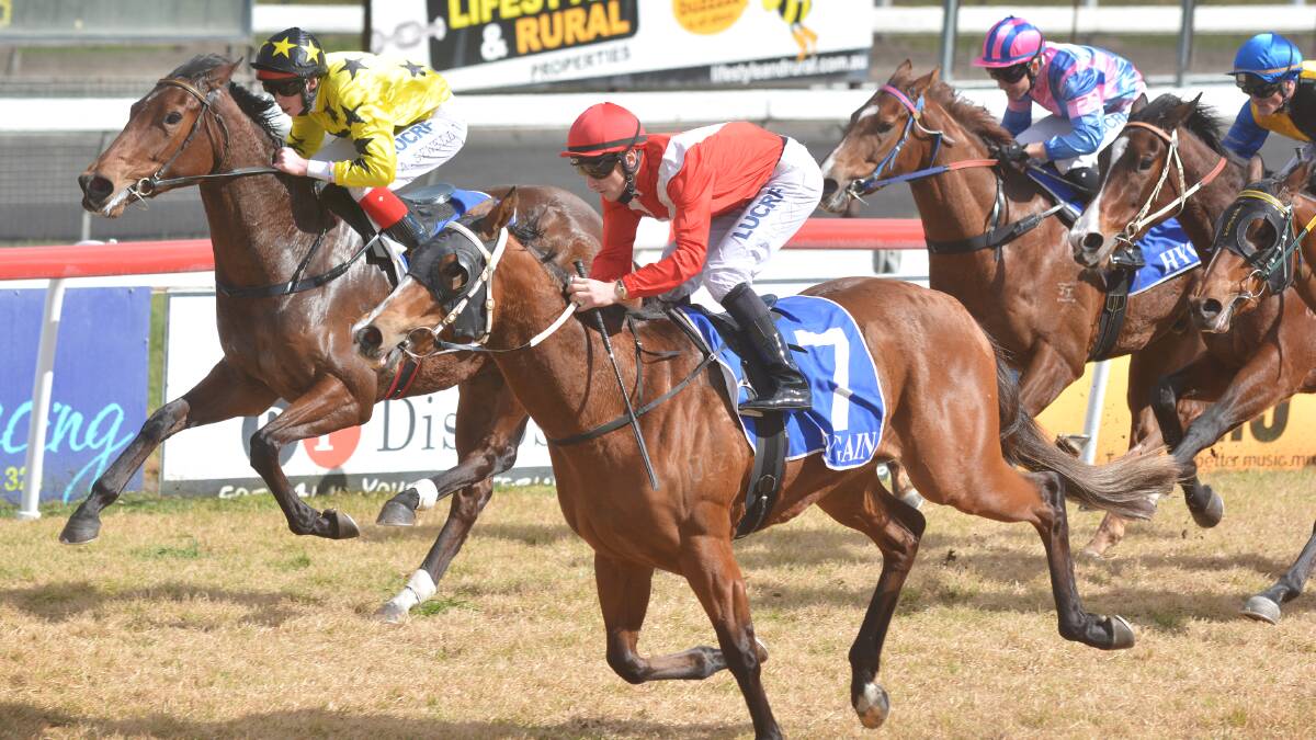 Ben Looker and Sutton Bailey beat Bella Vixen and Adam Sewell to win at Tamworth on Tuesday. Looker is riding Single Spirit in today’s Coffs Harbour Cup while Luke Griffith has scratched Bouzy Rouge from the Cup to race in Sydney. Photo: Barry Smith 050814BSD04