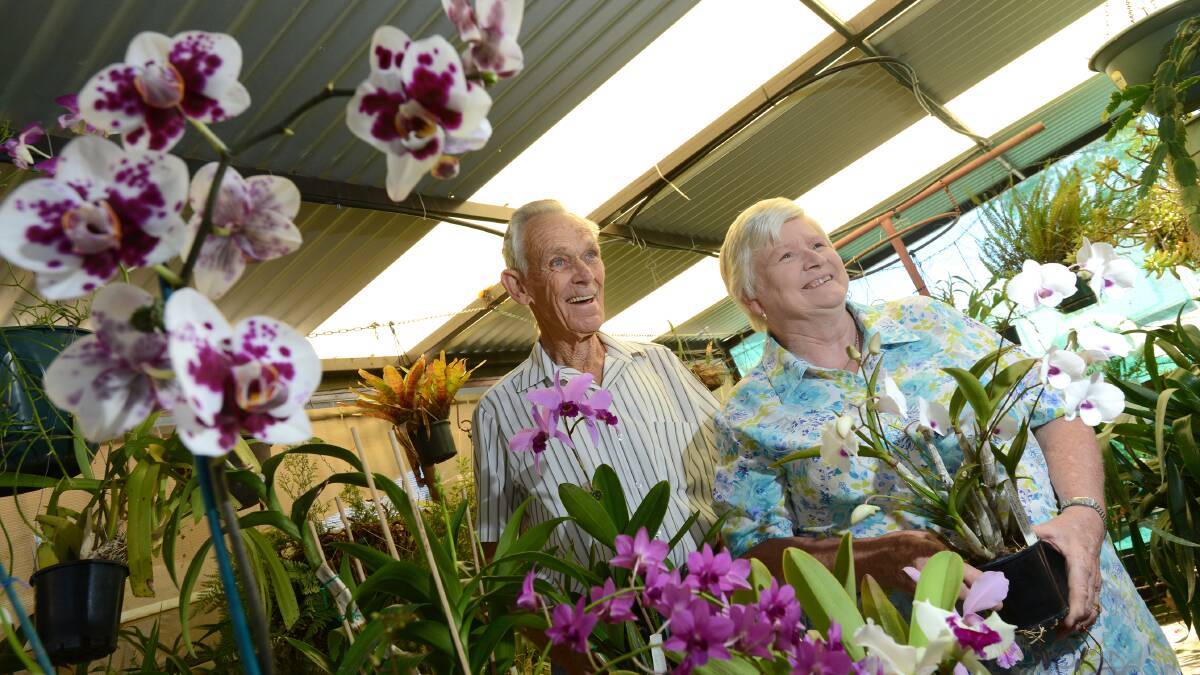 JUST MARVELLOUS: Tamworth Orchid Society president Bob Foster and publicity officer Cheryl Harris with some of the beauties that will be on show at Shoppingworld. Photo: Barry Smith 290414BSC02