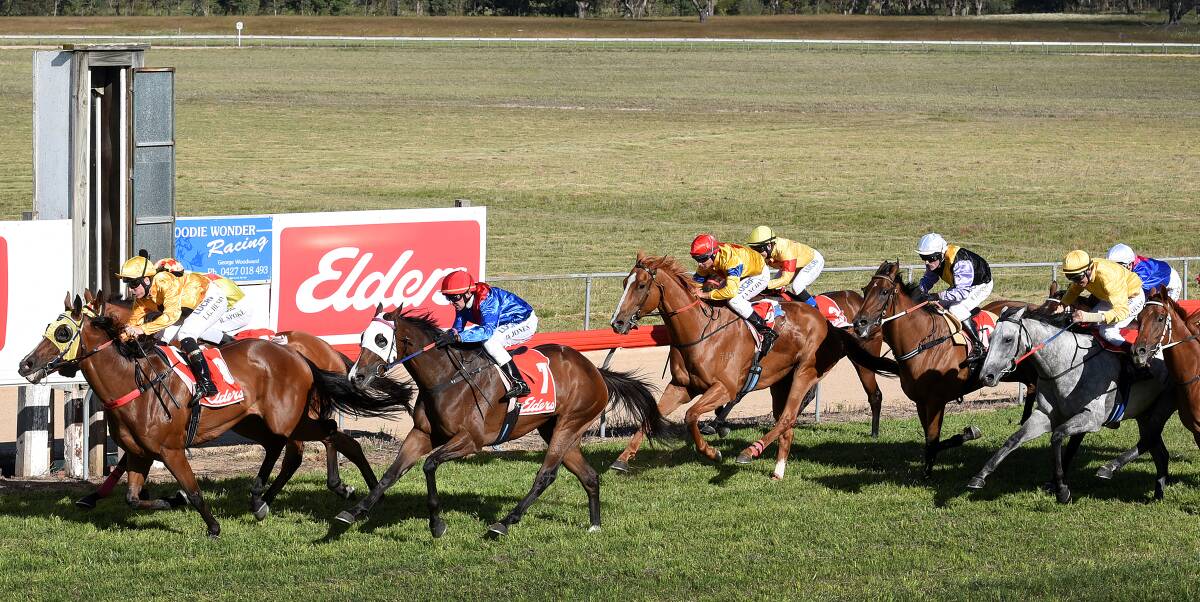 Latitat wins the Walcha Cup from Murvate and Keep It Danish. Keep It Danish and Latitat are two of the favourites for today’s Quirindi Cup. Photo: Gareth Gardner  060215GGC24