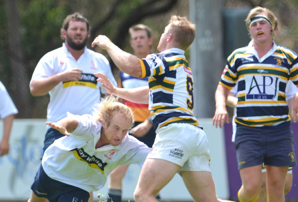 Scone Brumbies spurred into action