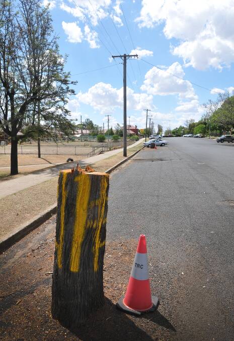 OUTRAGE: The removal of the silky oak trees has transformed one of Tamworth’s most picturesque streets into a desolate landscape. Photo: Gareth Gardner 281114GGE01