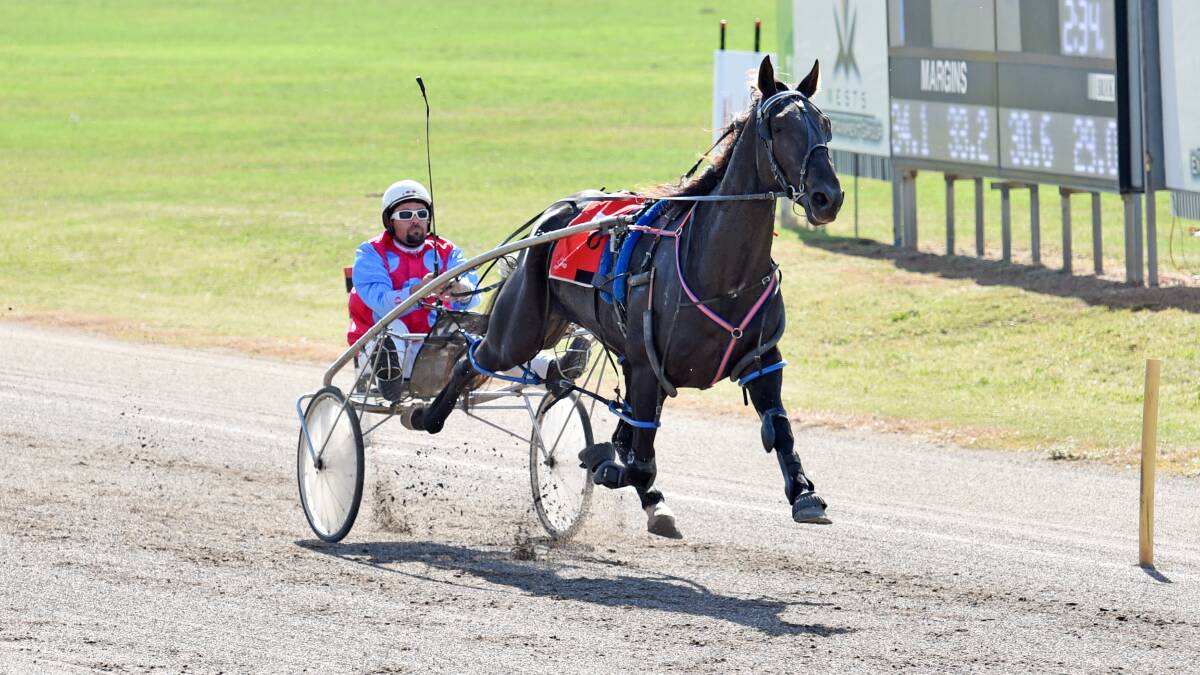 Who Killed Kenny and Danny Mackney breeze to an easy win at Tamworth Showground Paceway on Thursday. Photo: Geoff O’Neill 160415GOC01