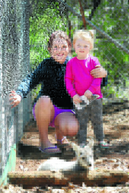 GREAT DAY OUT: Wee Waa’s Fallon Madden took her daughters, Lilly, nine, and Lexia, aged two, pictured, to the Marsupial Park while she was in Tamworth for a medical appointment. “I didn’t realise the park was there, but my cousin went to Calrossy and used to walk up there,” Mrs Madden said. 
“The girls loved it. Their favourite was Willie the little duck who followed them around.” Although the Wee Waa sisters have seen plenty of kangaroos and other Australian natives before, Mrs Madden said the girls loved all the animals at the park. Photo: Barry Smith 070415BSA03