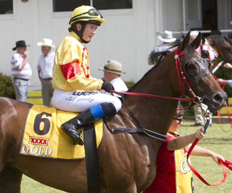 After taking out the Glen Innes Cup with Miss Caitlyn (pictured) last Saturday, Glen Innes trainer Paddy Cunningham is chasing more Cups success in Tamworth tomorrow. He’s got Aimalac Burra in the Country Music Cup. Jodi Worley will ride the five-year old after steering Miss Caitlyn to her win.