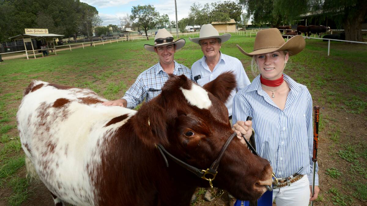 BEAUTIFULLY TURNED OUT: Champion junior cattle judge for Tamworth Show for 2014, Claudia Nielsen, right, with her 16-month-old shorthorn heifer, with Tamworth Pastoral & Agricultural Association president John Rodd, middle, and Todd Aitken, cattle chief steward. Ms Nielsen was also chosen to go to Sydney, along with nine others, to represent the zone in cattle parading. 280314GGD03
