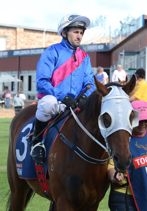 Dusty’s Felt and Matthew Paget parade before his Armidale Cup Prelude placing. photo courtesy pixonline.com.au