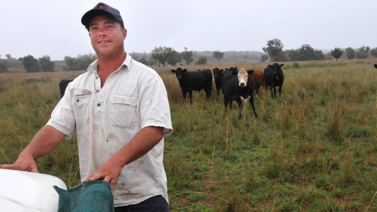 NATURAL CHOICE: Organic farmer Matt Carter on his beef and lamb property west of Manilla. The father-of-four changed from conventional farming after the shock discovery it was making him sick. Photo: Geoff O’Neill 260314GOD01