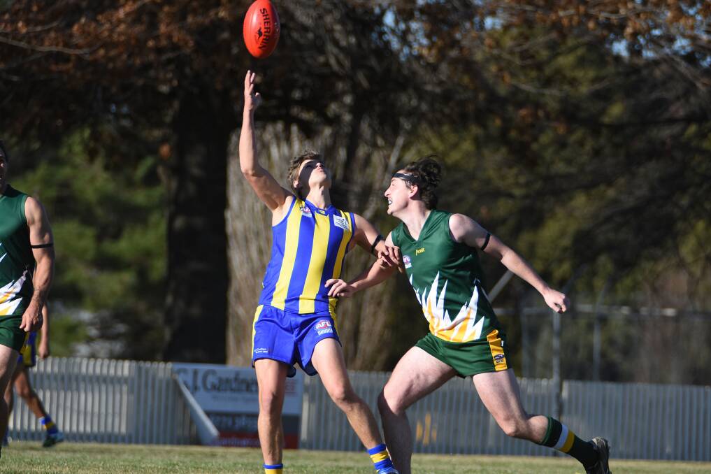 Jed Ellis-Cluff  attempts a one handed mark against North Coast for the TAFL last Saturday. Tomorrow he’ll be back at Bellevue Oval, Armidale leading the Nomad charge against the plucky Swans. Photo: pixonline.com.au