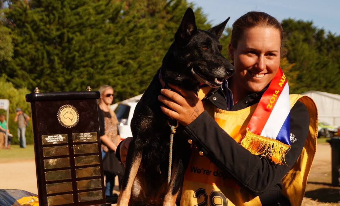 FIRST FEMALE WINNER: Former Tamworth woman Sarah Mortimer and her dog, White’s Dixie, won the 2014 Australian Yard Dog Championships in South Australia on Saturday. Photo courtesy Zoe Crouch