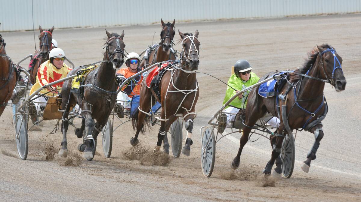 Sam Ison and Pirates Pears win at Tamworth last Thursday as the Tamworth club gears up to race almost exclusively of a Thursday. Photo: Barry Smith 260215BSE08