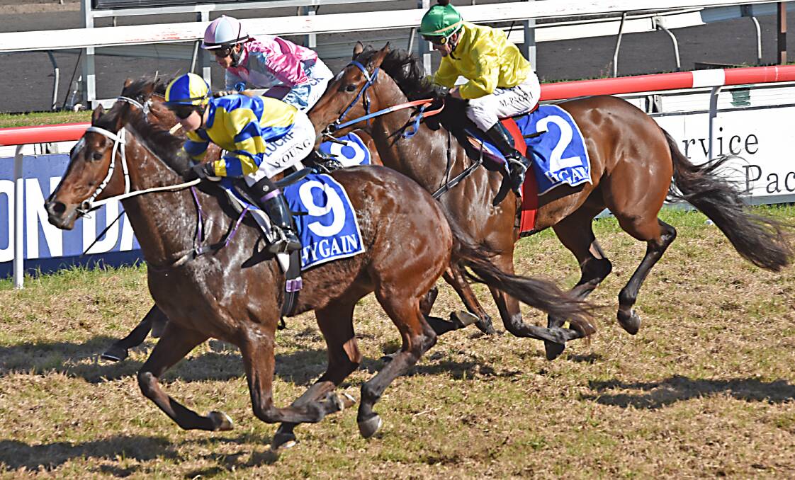 Sophie Young and Zarcas win at Tamworth last Saturday.  Photo: Geoff O’Neill 270615GOC03