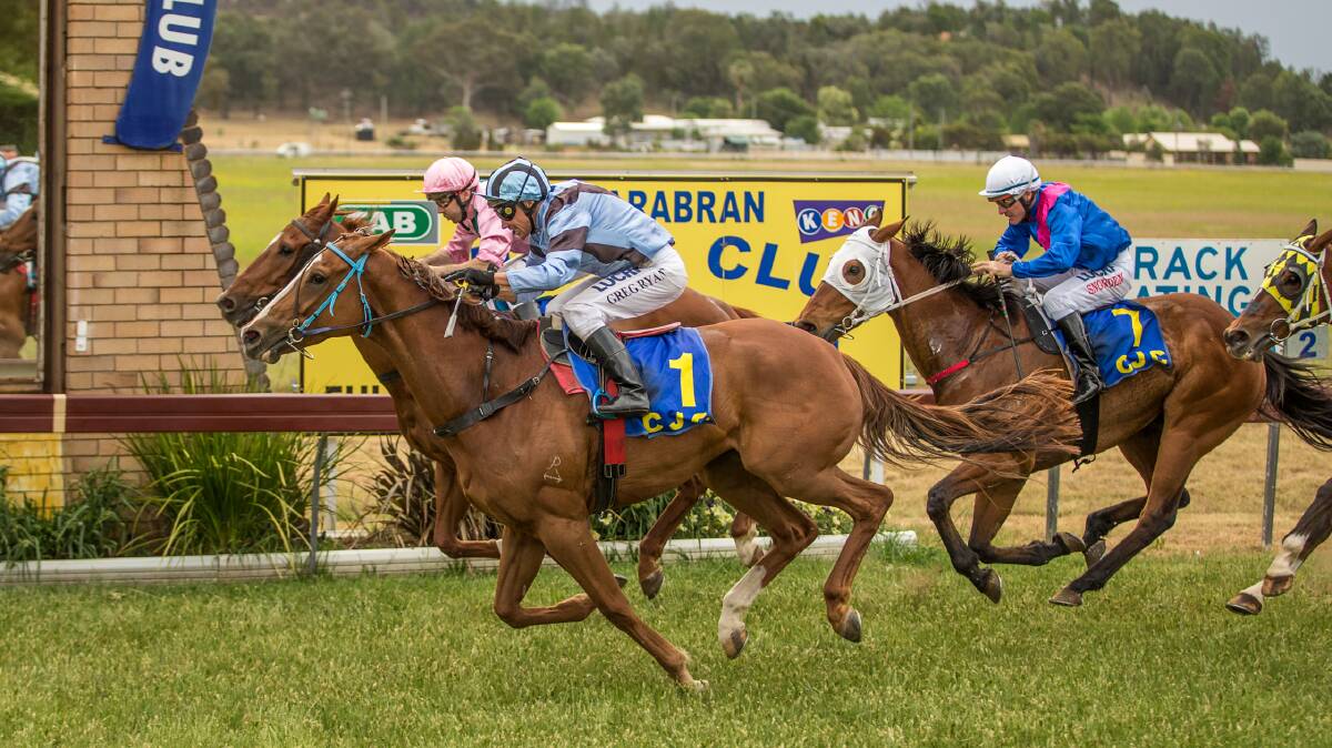 Are You Sure and Greg Ryan win Monday’s Coona Bowlo Coonabarabran Cup from Private Taber and Dusty’s Felt. Photo:  racing.photography.com.au