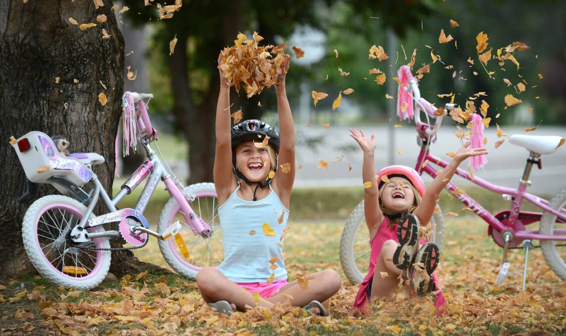 AUTUMN COLOUR:  Alex, eight, and Eva Hayes, five, of Tamworth were enjoying the balmy days and falling autumn leaves but it’s all set to get colder suddenly. Photo: Barry Smith 270414BSB07 