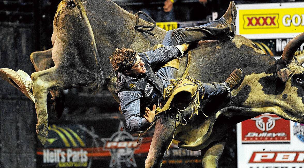 LOSING GRIP: Barraba rodeo champion Chris Lowe just moments before taking a brutal fall from a bull at this month's PBR event in Newcastle. 