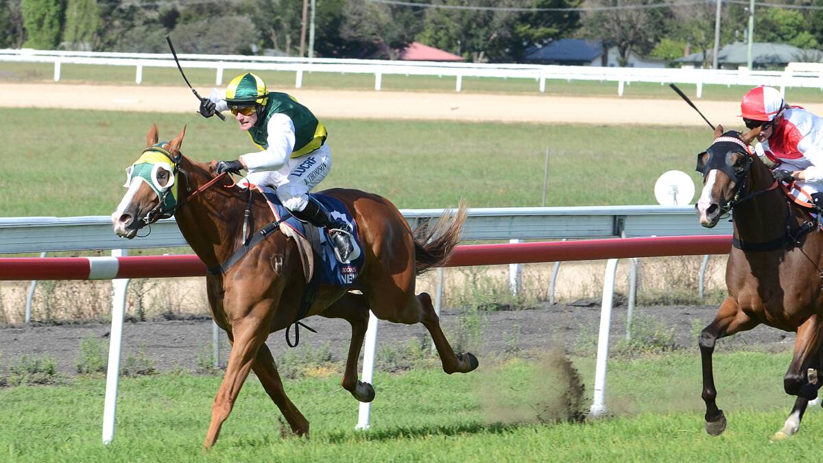 Single Spirit, with Robert Thompson on board, surges home to win yesterday’s Guyra Cup. Photo: www.pixonline.com.au