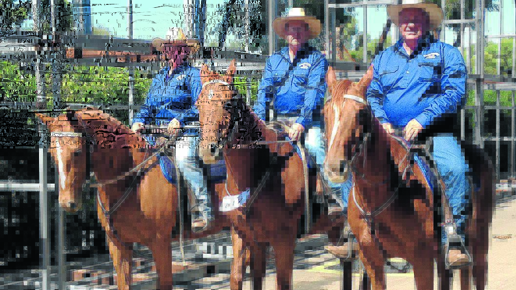 Tamworth's Sydney Royal Easter Show team penning 
champions Amy O'Neill, left, Brian Penrose and Snow Deaves