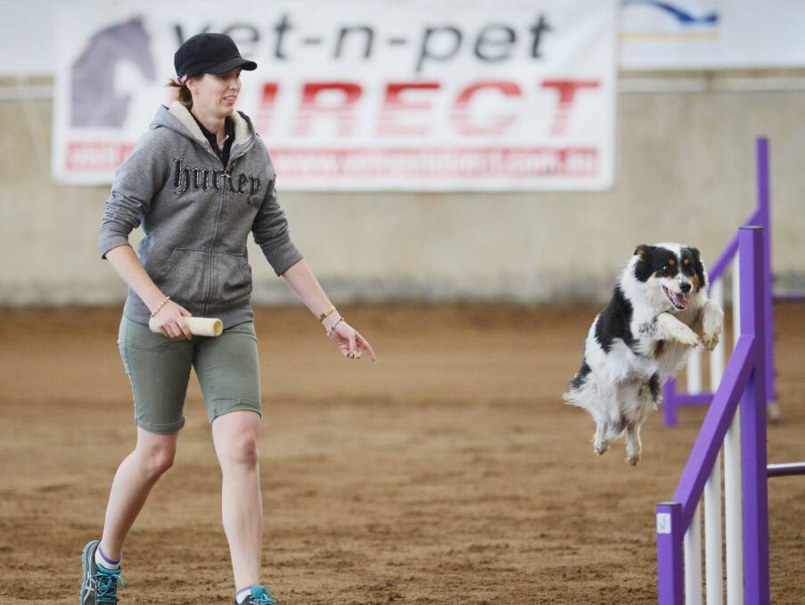 LEAPING INTO ACTION: Kym Banham from the Gold Coast and her dog Mucca going hard in the agility trial on Saturday. Photo: Barry Smith 041014BSD03