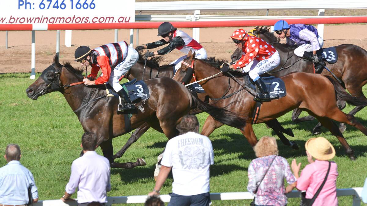 Brave Ali wins the Quirindi Cup. He runs in an $80,000 race at Eagle Farm today. 
Photo: Barry Smith 210214BSE22