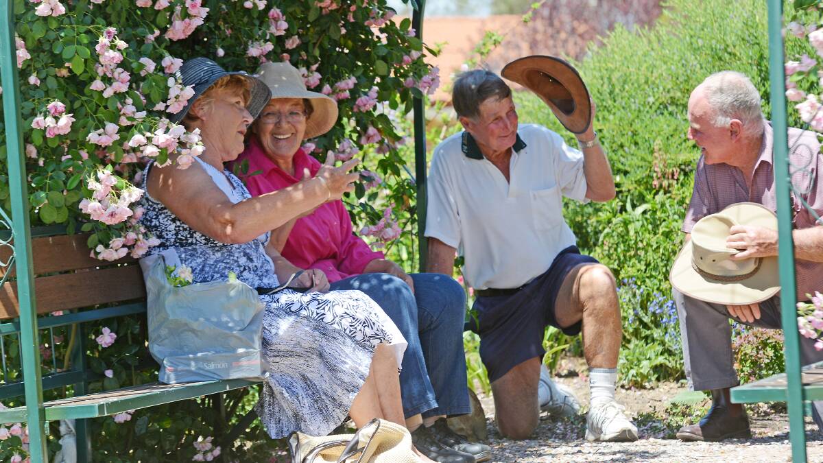 HOT STUFF: Even gardeners took shelter from temperatures that topped the old century mark in Tamworth yesterday – from left, Joan Gillies, Daph Gardiner, John Gillies and Warren Loseby.  Photo: Gareth Gardner  261014GGE03